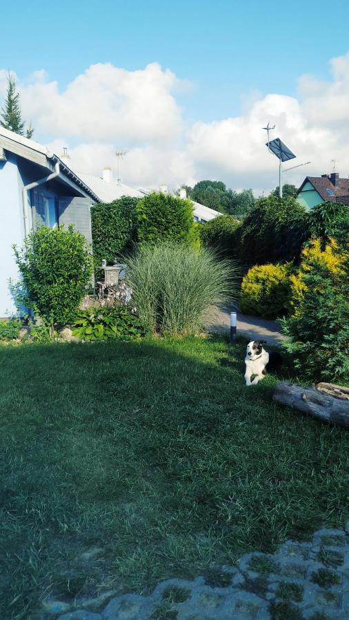 Domy Nad Zalewem Dziwnówek Exteriör bild