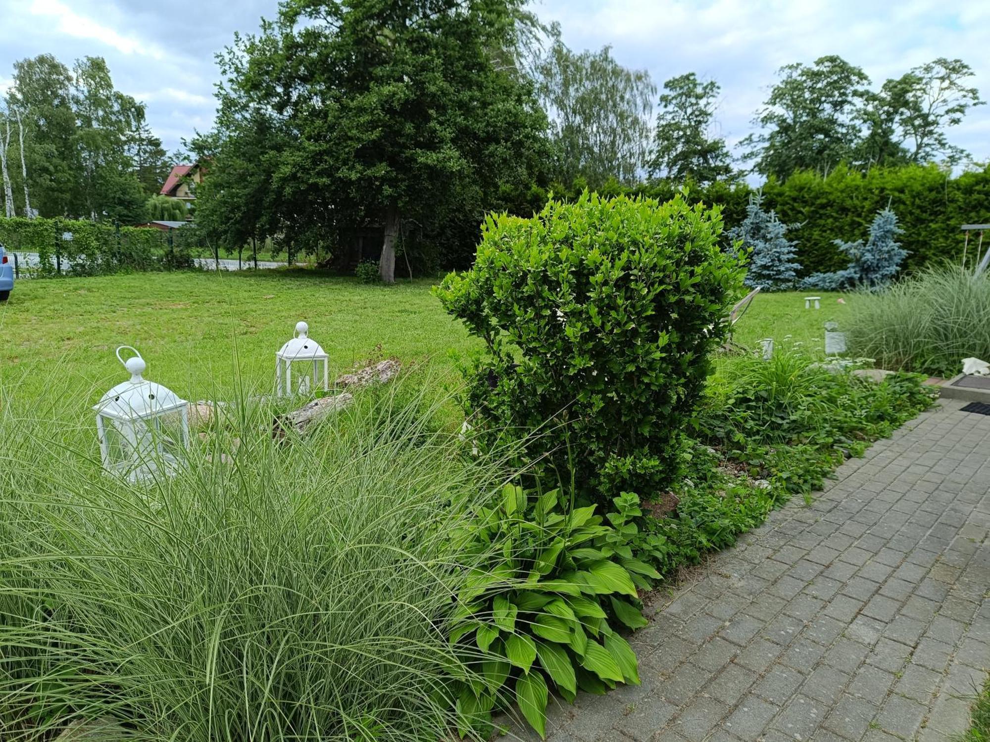 Domy Nad Zalewem Dziwnówek Exteriör bild